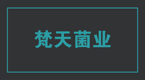 食品行业淮安洪泽区工作服设计款式